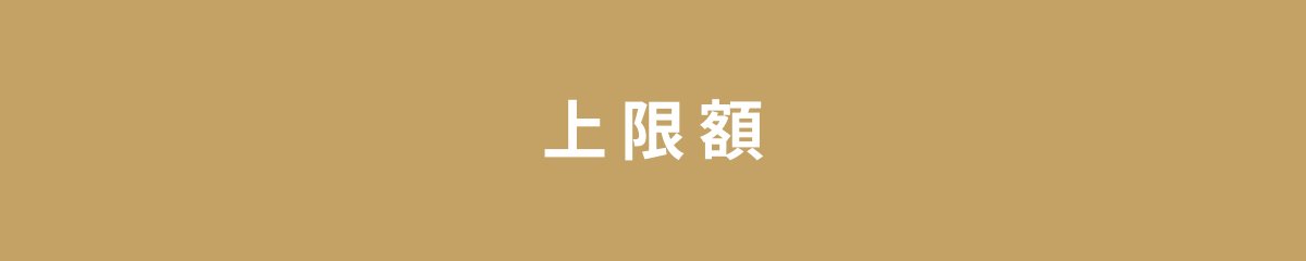上限額