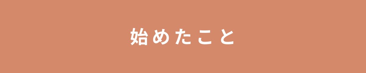 始めたこと