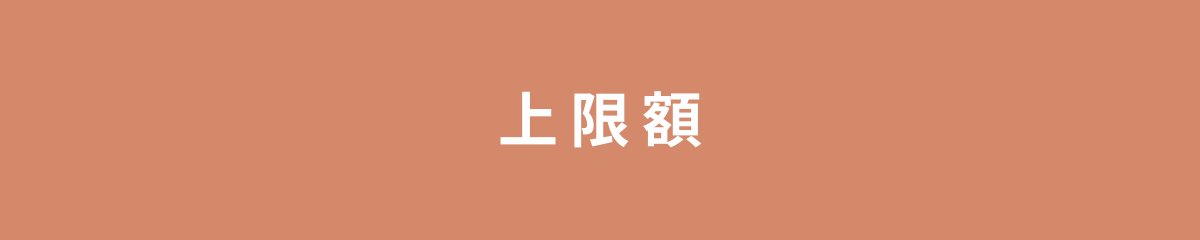 上限額