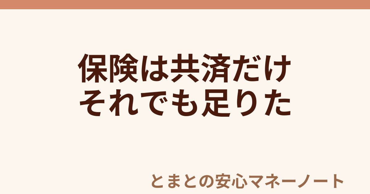 保険は共済だけ それでも足りた